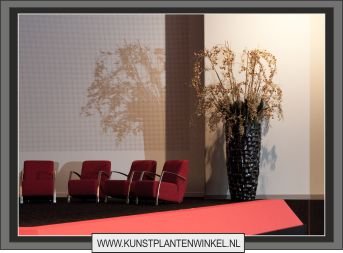 vliegen orchidee in river black